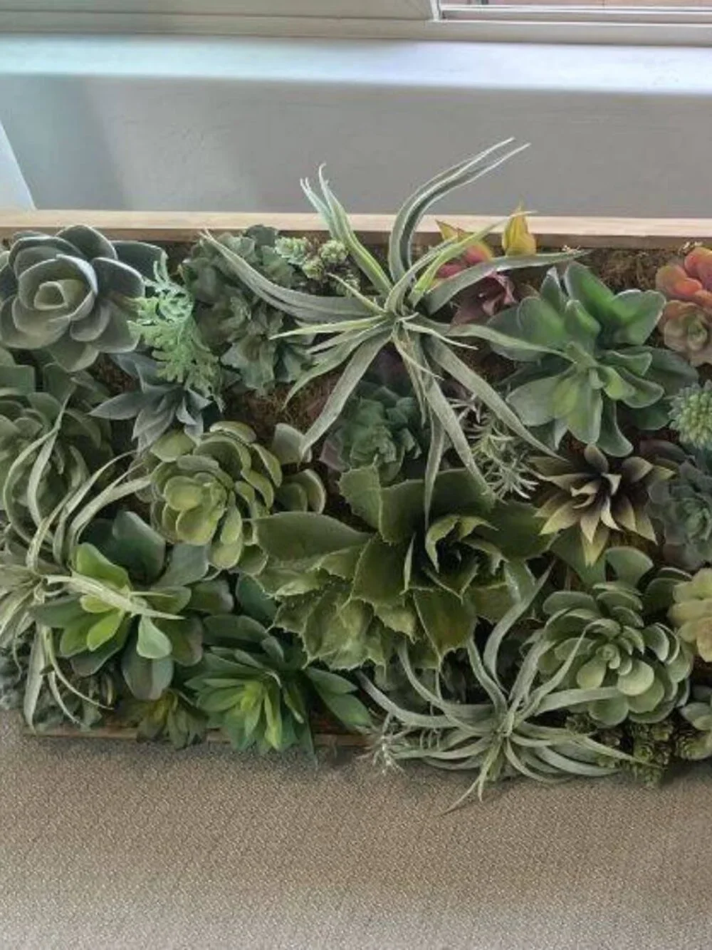 Pottery Barn Faux Wall Succulent Decor ($399 new!)